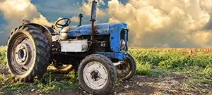 agricultural shows
